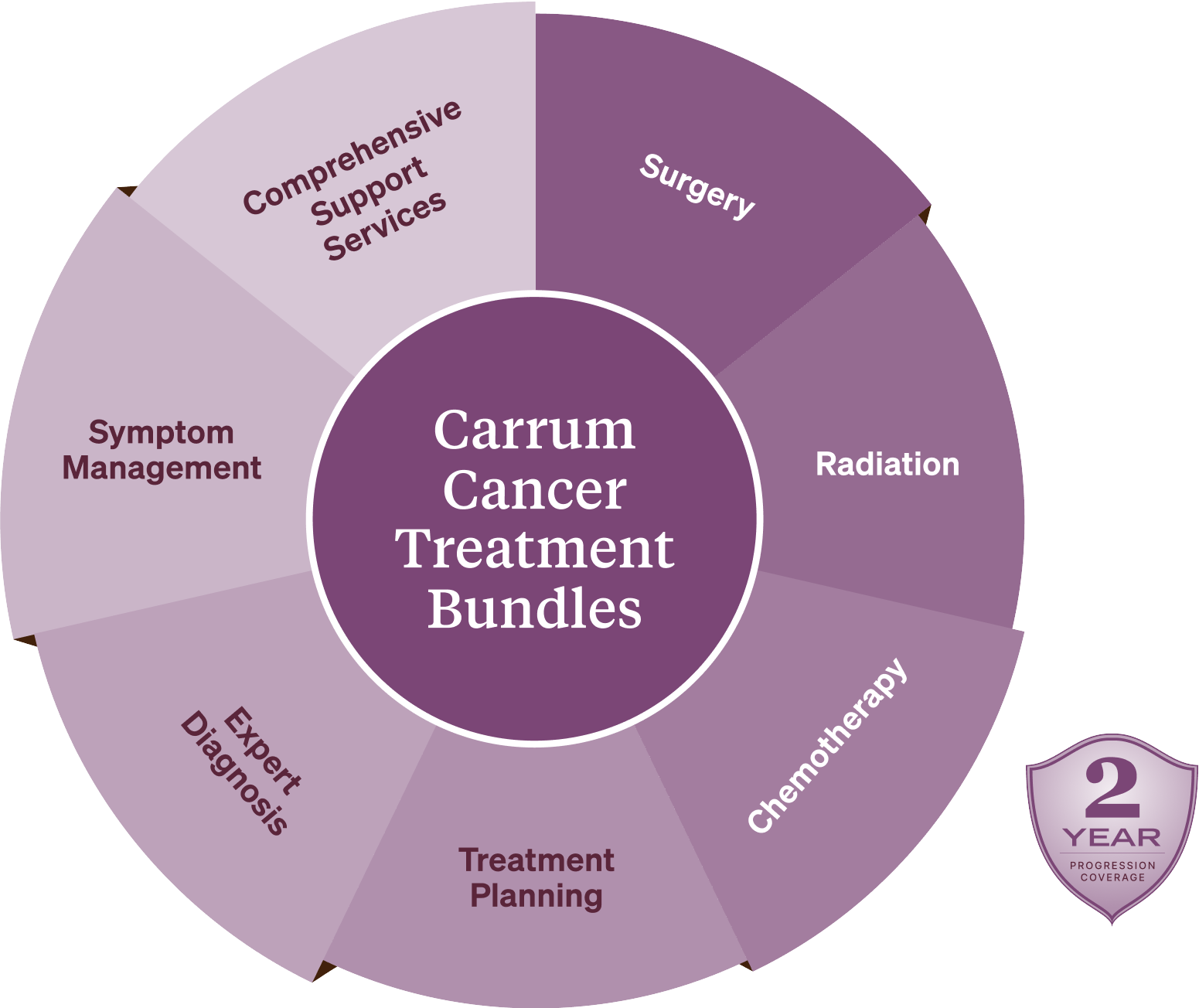 Carrum Cancer Treatment Bundle